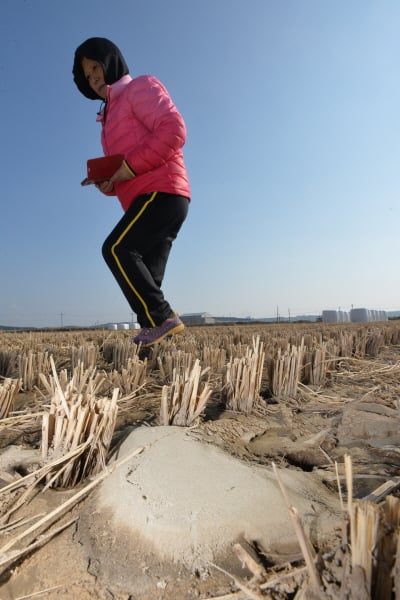 액상화 현상 의심지로 지목 된 포항시 북구 흥해읍 용천리의 한 논. /사진=뉴스1 최창호 기자 
