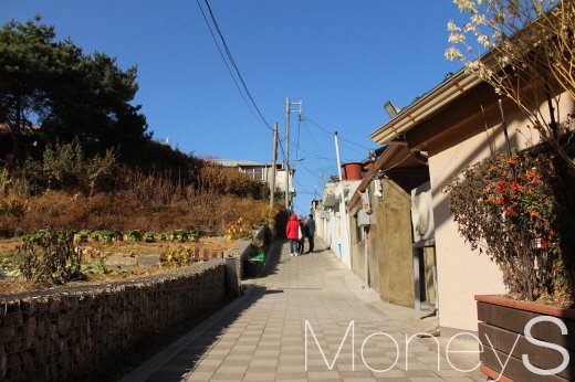 산새텃밭과 산새마을 골목길 전경. 산새텃밭 한쪽엔 내시 심득인의 묘가 있다. /사진=박정웅 기자