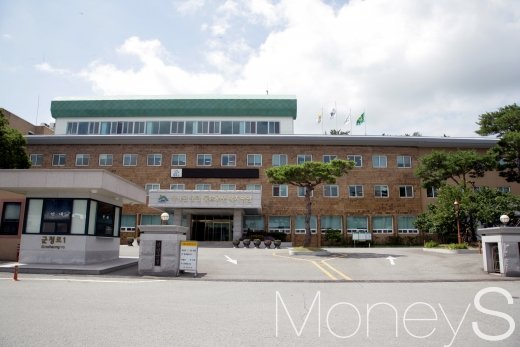 전남 영암군, AI 확산 방지 '해맞이 축제' 취소