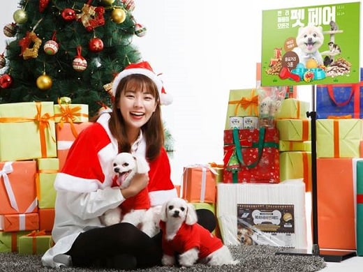 /사진=티몬 @머니S MNB, 식품 외식 유통 · 프랜차이즈 가맹 & 유망 창업 아이템의 모든 것