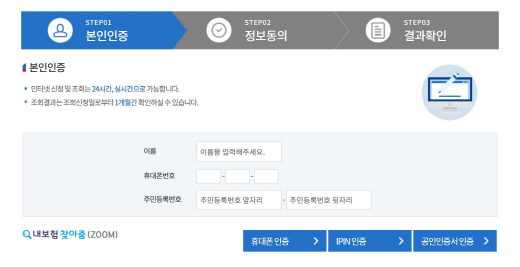 /사진=내보험 찾아줌 사이트 캡처.