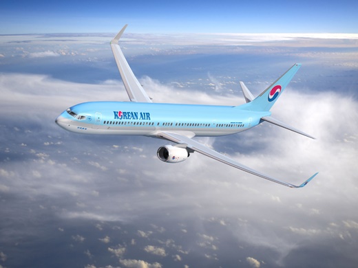대한항공, 인천-대구 환승전용 내항기 운항