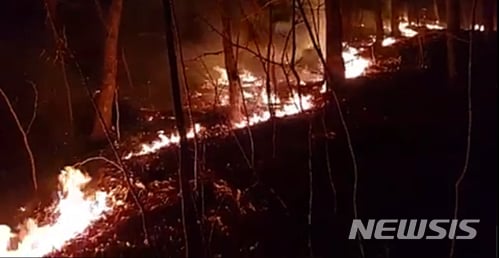 지난 1일 오후 9시46분쯤 부산 기장군 장안읍 삼각산(469m) 정상 부근에서 원인이 밝혀지지 않은 불이 났다./뉴시스=하경민 기자