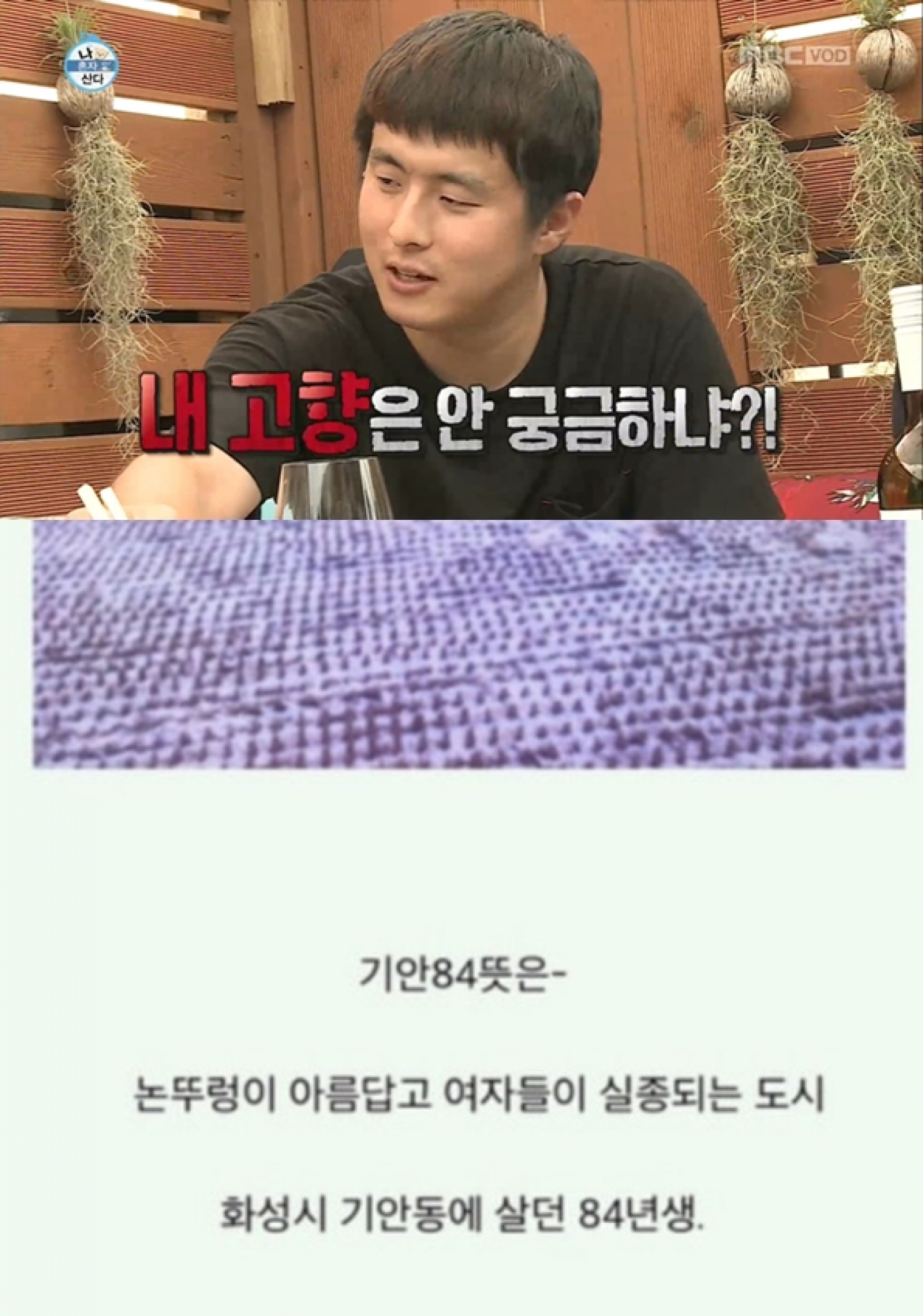 /사진=MBC '나혼자 산다' 화면 캡쳐(위), 기안84 블로그 캡쳐(아래)