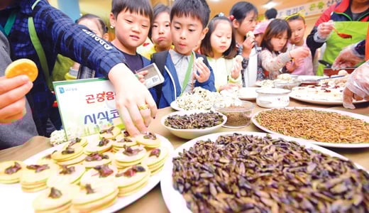 /사진제공=농촌진흥청