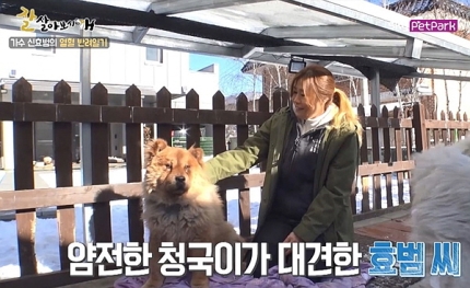 사진 스카이펫파크 '잘살아보시개' 방송 화면/사진=뉴스1