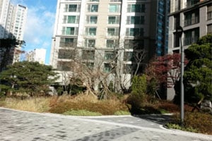 [주목! 경매물건] 남가좌동 121.6㎡ 7.4억에 시작