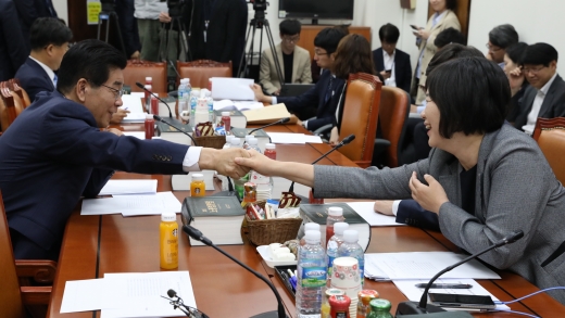 24일 저녁 서울 여의도 국회에서 열린 환경노동위원회 제3차 고용노동소위원회에서 자유한국당 문진국(왼쪽) 의원과 정의당 이정미(오른쪽) 대표가 악수하고 있다. / 사진=뉴시스