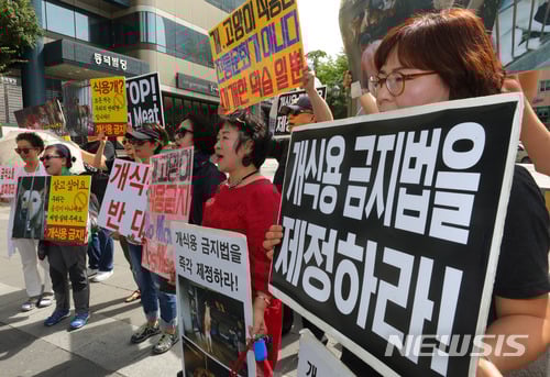 지난 7월 청와대 국민청원 게시판에 개고기 식용에 대한 찬반 청원글이 올라오는 등 의견이 분분하다. /사진=뉴시스