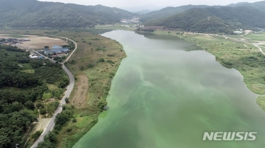 지난 14일 먹는물부산시민네트워크가 공개한 대구시 달성군 도동서원 인근 낙동강 녹조 모습. /사진=뉴시스