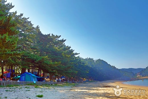 솔향기길./사진=한국관광공사