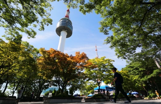 서울 중구 남산에서 나뭇잎이 빨갛게 물들어가고 있다. /사진=서울 뉴스1 안은나 기자