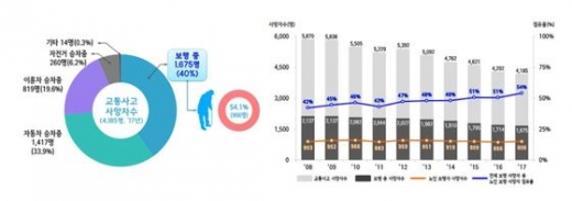 지난해 교통사고 사망자 표. /자료=행정안전부 제공 