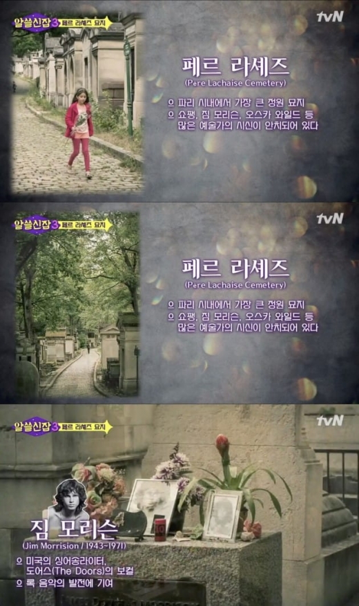 알쓸신잡3 무단도용논란. /사진=tvN 방송캡처