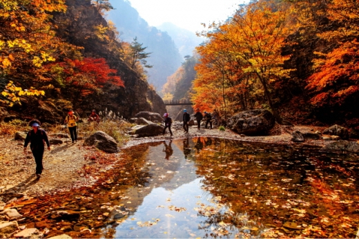 걷기여행 코스인 설악산 절골 단풍. /사진=월드여행사(=레저큐)