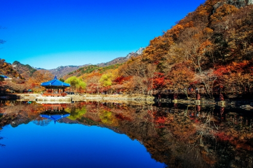 내장산 우화정 단풍. /사진=스마일투어(=레저큐)