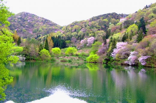 화순 백아산 세량지.