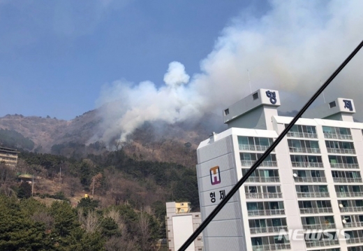 26일 낮 12시 30분 부산 사하구 승학산 중턱에서 원인이 밝혀지지 않은 불이 나 소방당국이 진화작업을 벌이고 있다. /사진=뉴시스(부산소방본부 제공)