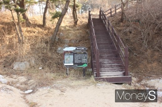 모도 배미꾸미해변에서 박지기를 연결하는 둘레길. /사진=박정웅 기자