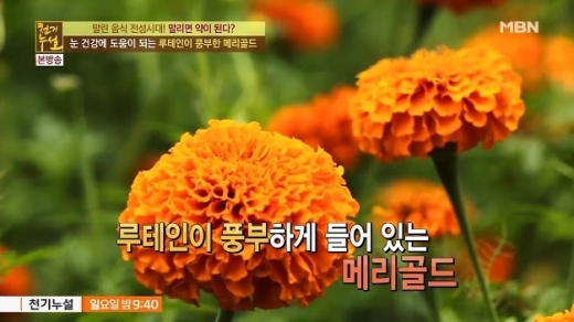 메리골드. /사진=천기누설 방송캡처