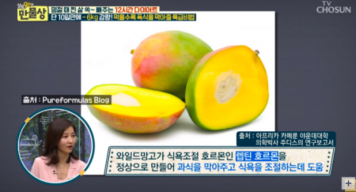 와일드망고. /사진=TV조선 방송캡처
