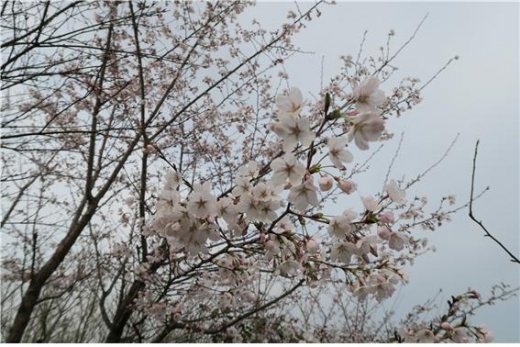 광주지방기상청 내 관측소 표준목./사진=광주지방기상청 제공.