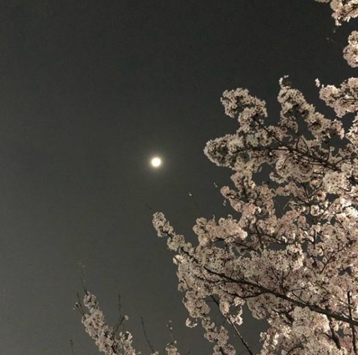폴킴. /사진=폴킴 인스타그램 캡처