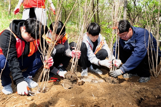 SK건설 임직원 가족봉사단이 화단에 나무를 심는 모습. /사진=SK건설