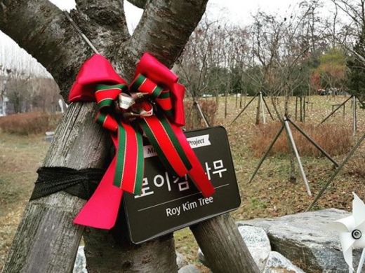로이킴숲 존폐논란./사진=로이킴 인스타그램