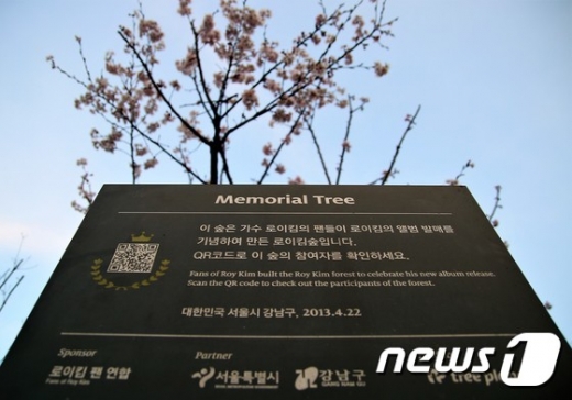 로이킴 숲 철거. 강남구청.  /사진=뉴스1