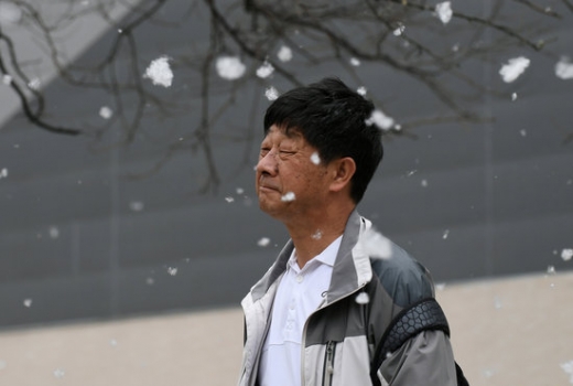 중국 꽃가루. 중국 수도 베이징의 시민들이 꽃가루에 곤욕을 치르고 있다. /사진=로이터