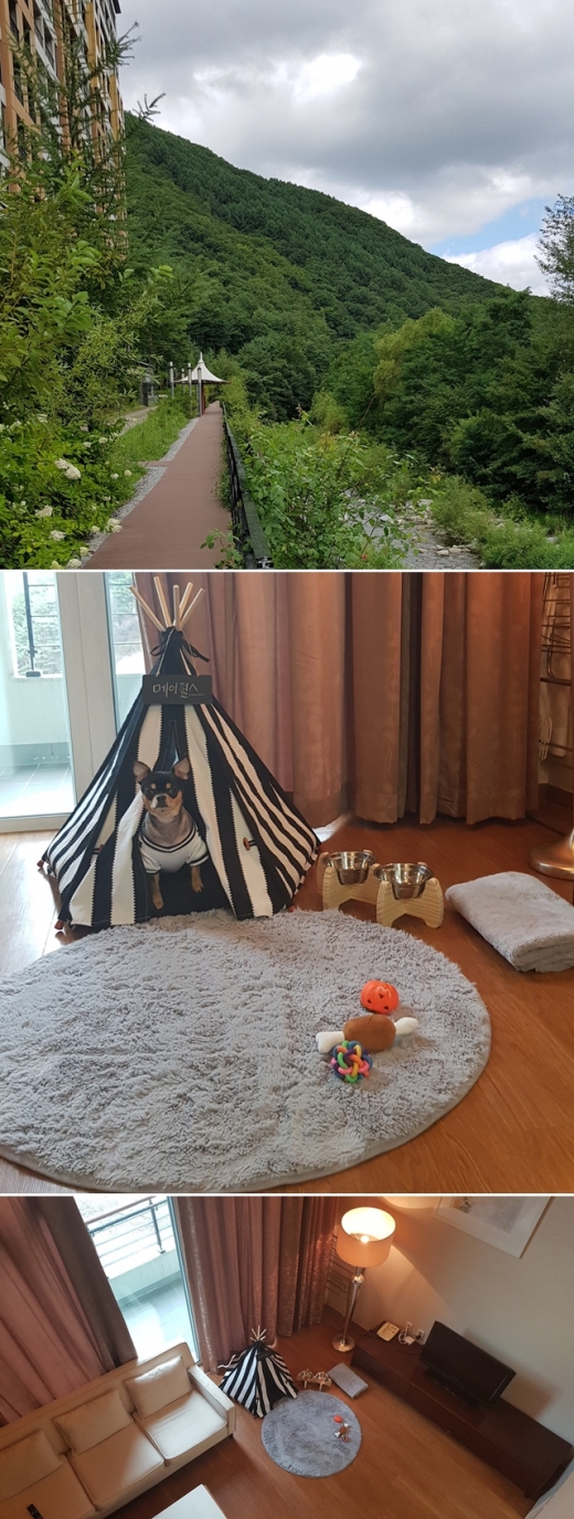 ©글래드 호텔앤리조트