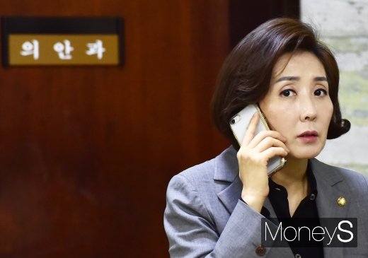 달창. 사진은 나경원 자유한국당 원내대표./사진=임한별 기자