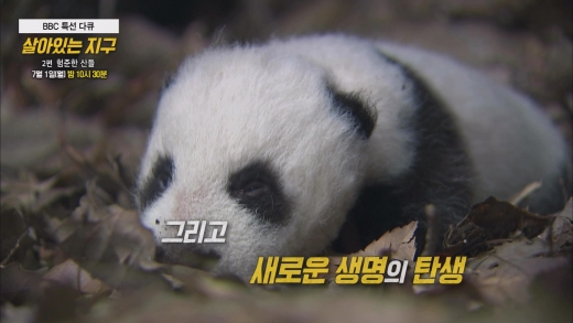 ©tbs TV