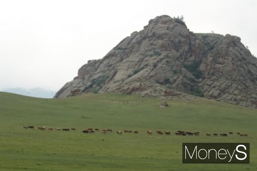 [머니S포토] 몽골 대초원, 목가적인 풍광