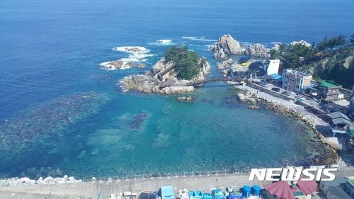 삼척 장호항. /사진=뉴시스