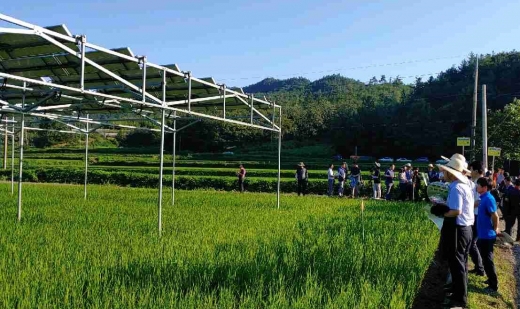  보성에서 열린 농업인 주도 '영농형태양광 발전 설명회'/사진=농협전남지역본부 제공.