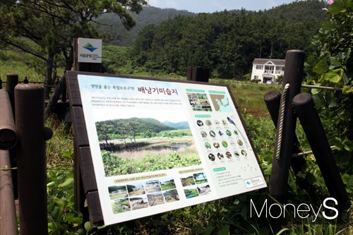 철새의 보고 배낭기미 습지 /사진=홍기철기자