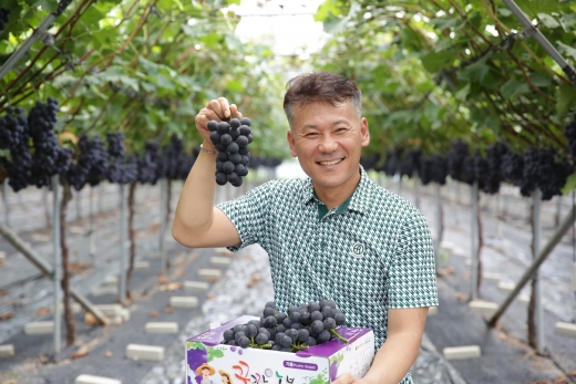 장성 거봉 포도/사진=광주신세계 제공.