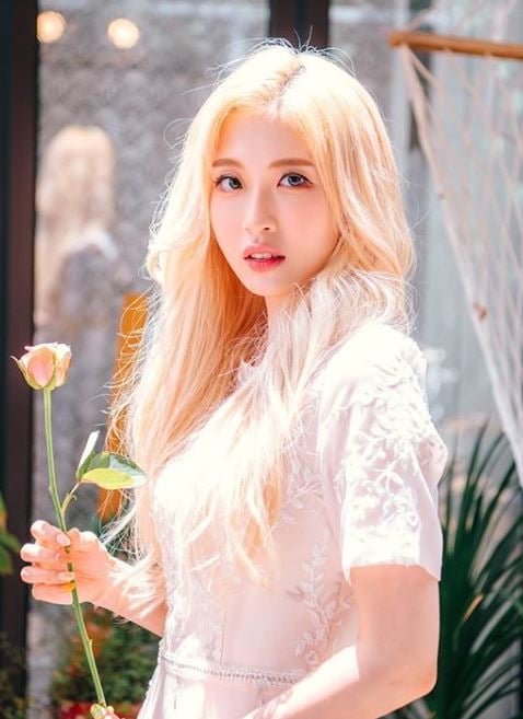 양팡. /사진=양팡 인스타그램 캡처