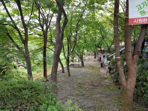 철거후 깨끗해진 고기리 계곡. / 사진제공=용인시