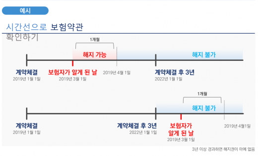 타임라인으로 보험 약관을 알기쉽게 풀이한 작품 예시./자료=금융감독원
