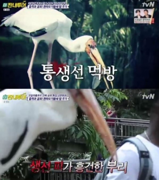 /사진=tvN '더 짠내투어' 방송화면 캡처