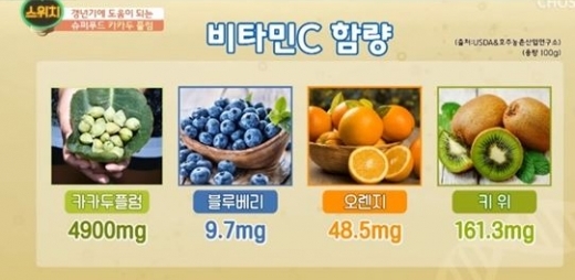 카카두 플럼. /사진=TV조선 '스위치' 방송 캡처