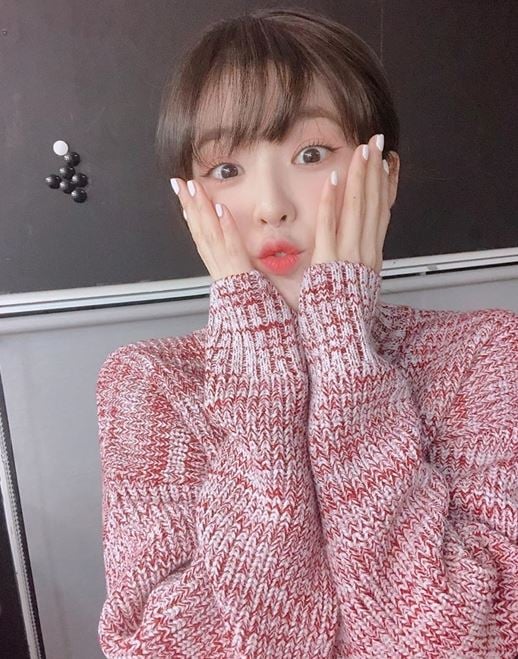 그룹 레드벨벳 아이린. /사진=아이린 인스타그램 캡처