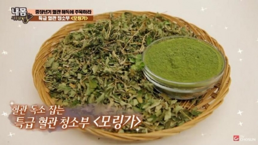 모링가. /사진=TV조선 '내몸사용설명서' 방송화면 캡처