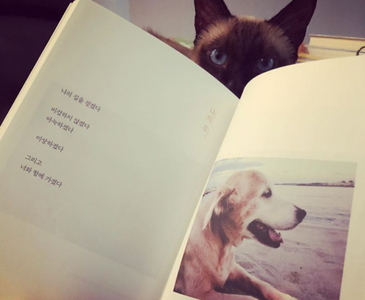 /사진=구혜선 인스타그램 캡처