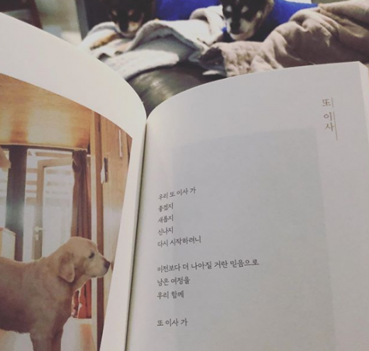 /사진=구혜선 인스타그램 캡처