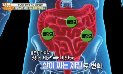 lgg 유산균. /사진='내몸사용설명서' 방송캡처