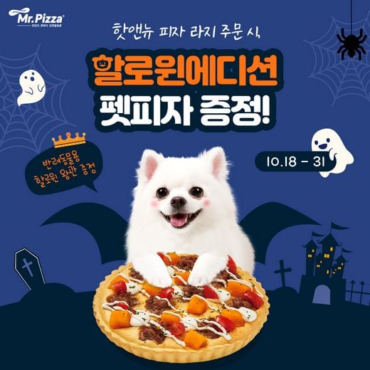 할로윈 데이에는 #미스터펫자 먹고 #펫스타그램 하자!